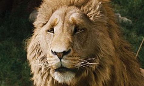 Aslan's Wisdom: Life Lessons from the Lion in 'The Lion, the Witch and the Wardrobe
